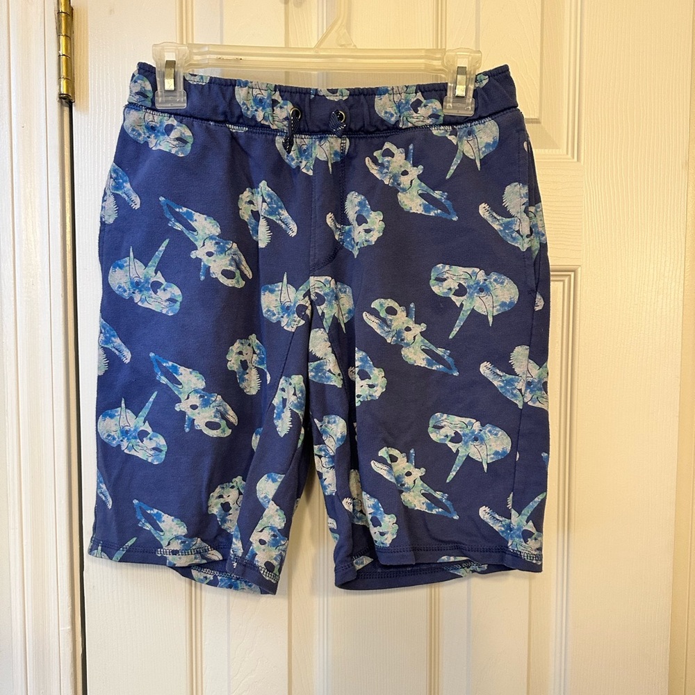 Dinosaur comfy shorts